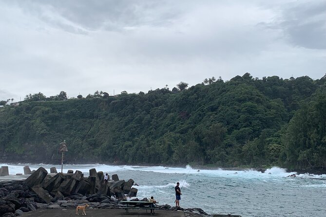 Private Full-Day Hamakua Coast and Sugar Tour From Kailua-Kona - Local Insights and Cultural Experience