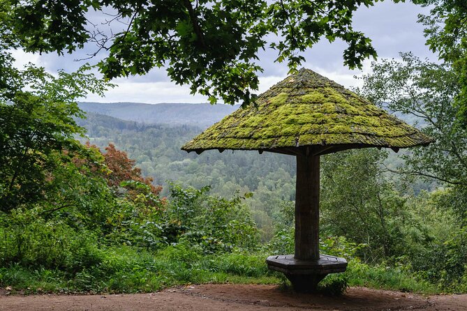 Private Full-Day Hiking Tour in Sigulda and Gauja National Park - Health and Safety Guidelines