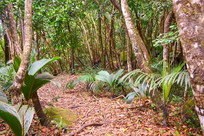 Private Full Day Mahé Island Tour (1-2 Persons) - Highlights of the Tour