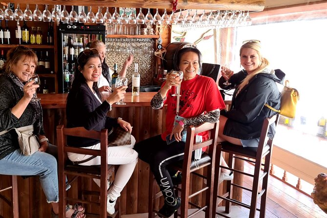 Private Full Day Rhodes Island Tour With Wine Tasting Experience - Flexibility and Cancellation Policy