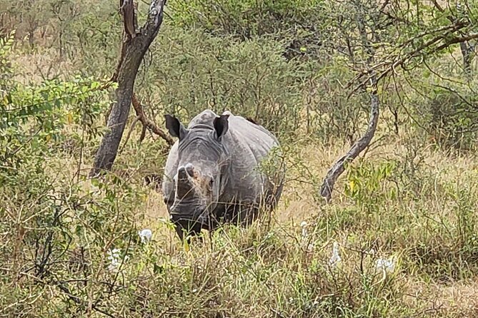Private Full-Day Tour Akagera Game Drive - Customizing Your Tour Experience