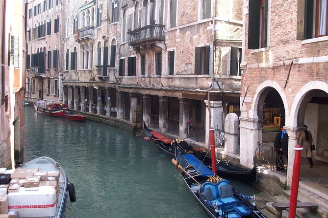 Private Full Day Tour From Milan to Venice With Local Tour Guide and Fast Train - Accessibility and Participation
