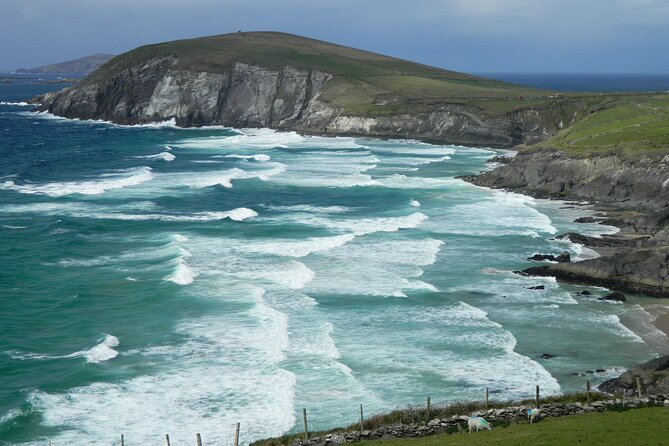 Private Full-Day Tour to Dingle and Slea Head - Accessibility and Participation