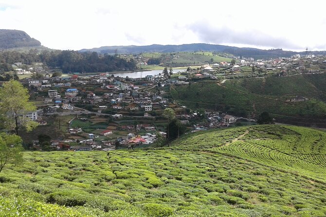 Private Full Day Tour to Nuwara Eliya From Kandy - Traveler Information