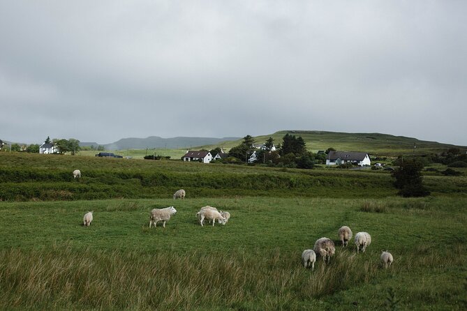 Private Full-Day Tour to the Scottish Highlands and Loch Ness - Inclusions