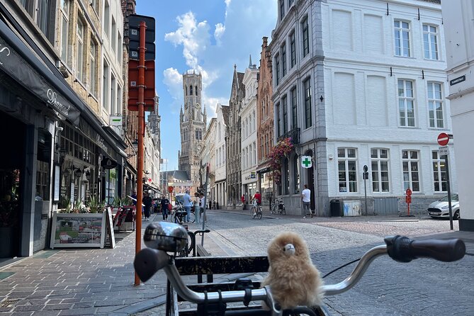 Private Full-Day Trip to Bruges&Ghent From Brussels With Tastings - Meeting and Pickup Details