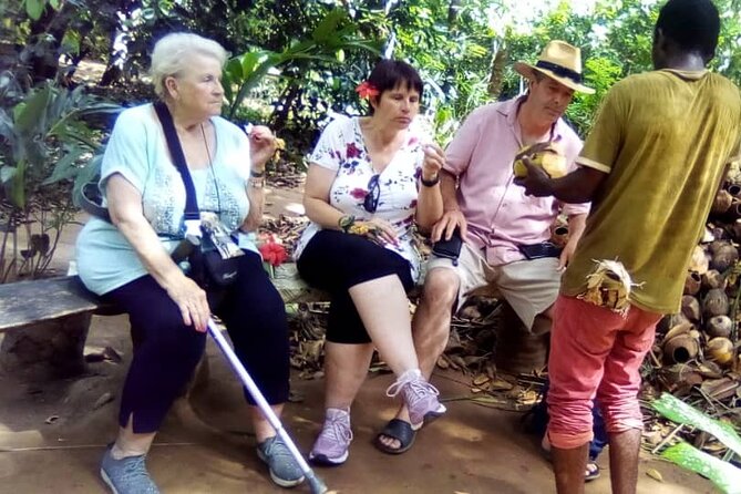 Private Full Day Trip to Stone Town, Spice Farms and Jozani Forest - Tour Experience Highlights