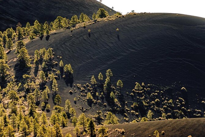 Private Grand Canyon Ultimate Day Tour - Transportation Details