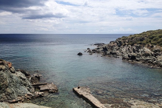 Private Greek Cooking Class and Foraging Experience in Syros - Foraging for Seasonal Ingredients