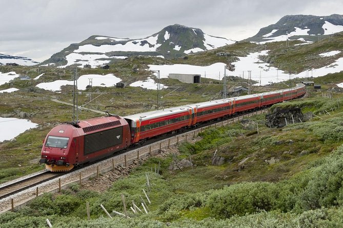 Private Guided Day Tour - RIB Nærøyfjord Safari & Flåm Railway - Traveler Feedback Highlights