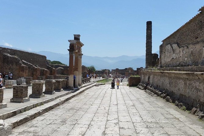 Private Guided Tour of Pompeii and Herculaneum - Visitor Information