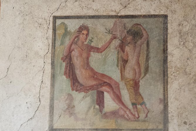 Private Guided Tour of Pompeii. Sunset Tour - Accessibility and Participation