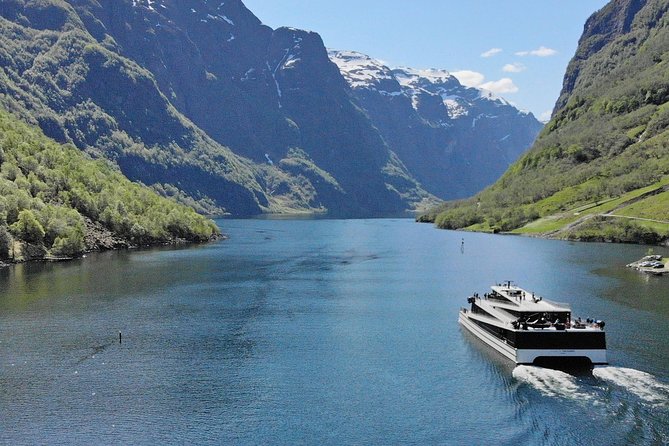Private Guided Tour - Premium Nærøyfjord Cruise and Flåm Railway - Pickup Details and Timing