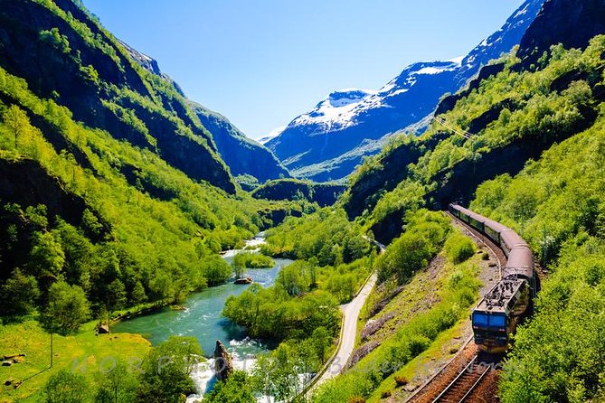 Private Guided Tour - Premium Nærøyfjord Cruise and Flåm Railway - Pricing and Cancellation