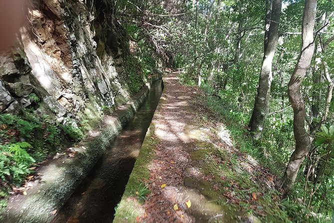 Private Guided Walk Levada Ribeira Da Janela - Participant Reviews