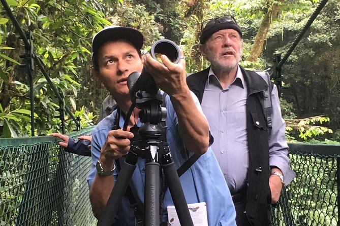 Private Half-Day Birding at Monteverde Cloud Forest - Transportation and Meeting Options