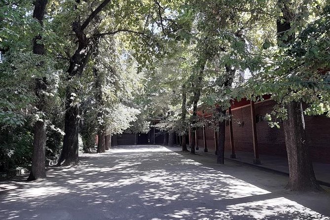 Private Half Day City Tour - Whats Included