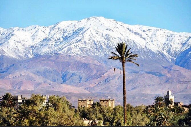 Private Half-Day Mountain Biking Excursion to Discover the Palm Grove of Skoura - Participation Details