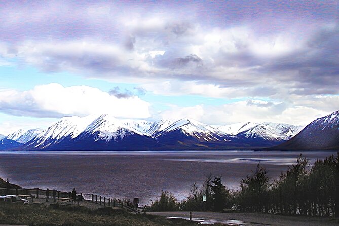 Private Half-Day Nature Tour From Anchorage - Booking Information