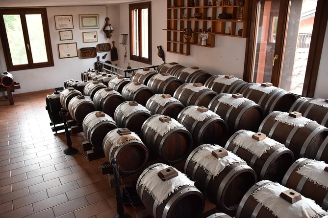 Private Half Day Tour in Parma - Accessibility and Participation