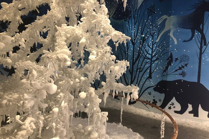 Private Half-day Tour to Swarovski Crystal World in Wattens - Knowledgeable and Engaging Guide