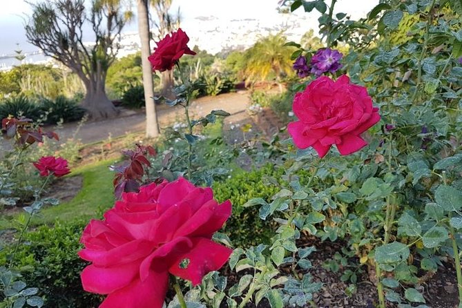 Private Halfday Madeira Garden Tour - Accessibility and Additional Information