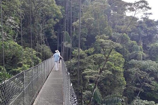 Private Hanging Bridges + Waterfall Tour + Costarrican Lunch - Exceptional Tour Ratings and Reviews