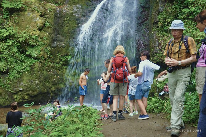 Private Hiking Tour to Mtirala National Park From Batumi - Experience and Activities