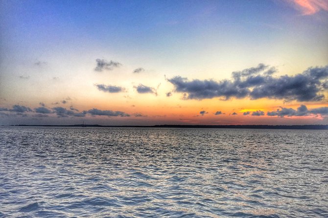 Private Hilton Head Dolphin Watching Tour With Waterfront Dining Stops - Reviews and Ratings
