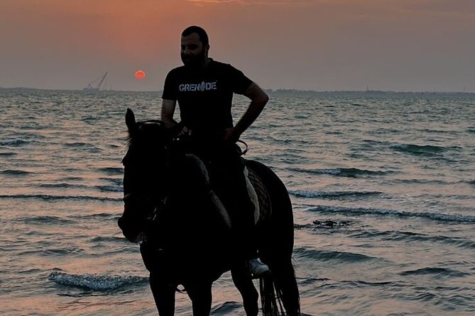 Private Horse Riding Experience at Red Sea - Unique Highlights