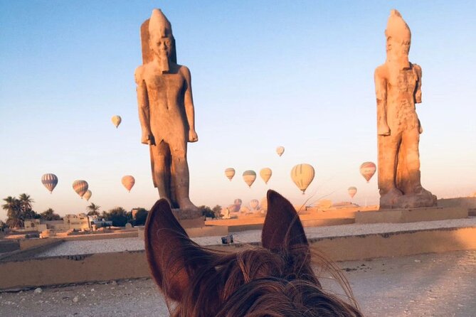 Private Horse Riding Tour in Luxor West Bank - Included Amenities