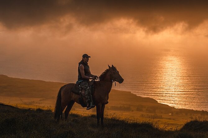 Private Horseback Riding on Easter Island - Encountering the High Mountain Meadows