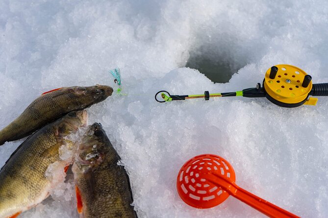 PRIVATE Ice Fishing Snow Scooters Lunch in a Glass Igloo - Accessibility and Additional Information