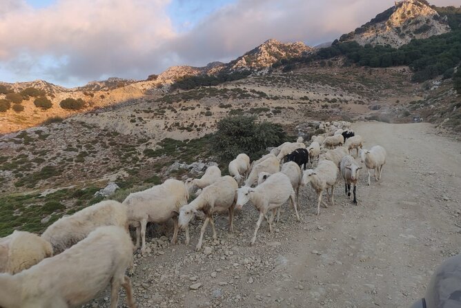 PRIVATE Jeep Safari 4x4 SUNSET With Dinner Area Hersonissos CRETE - Accessibility and Guide