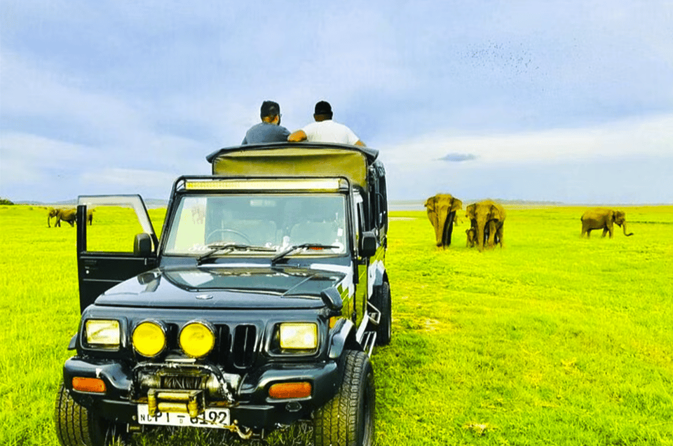 Private Jeep Safari to One of the Best National Parks - Important Information