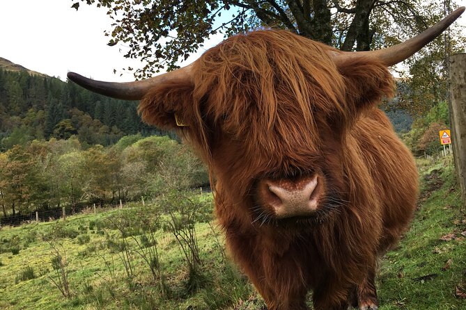 Private Loch Ness & Glencoe Day Trip From Edinburgh - Exploring Glencoe Valley
