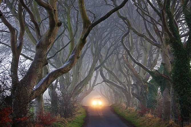 Private Luxury Full Day Tour Causeway Coastal Route From Belfast - Customization Options