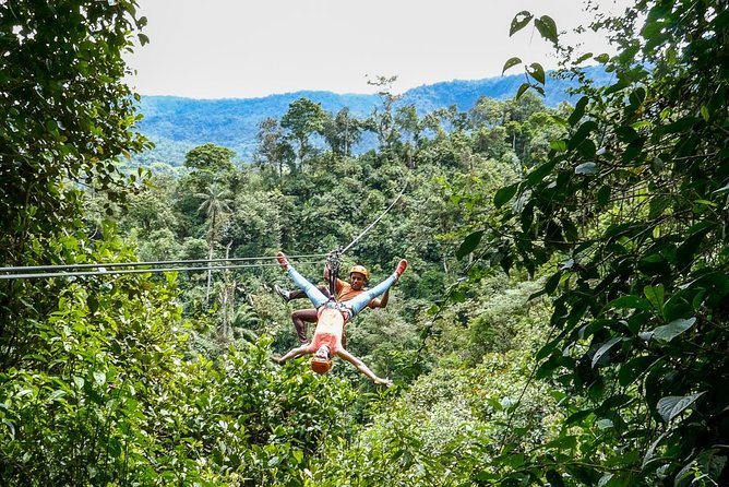Private Mindo Cloud Forest Tour From Quito - Exploring the Cloud Forest