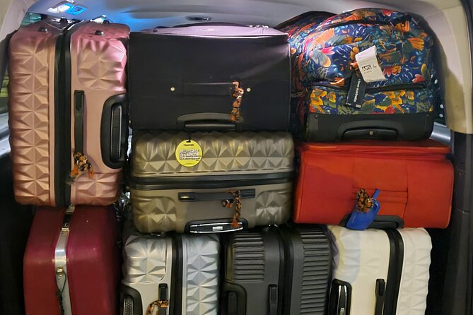 Private Minivan Transfer From Rotterdam - Availability and Accessibility