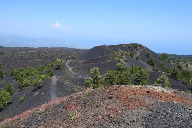 Private Mount Etna Full-Day Hike From a Refuge - Booking Terms and Conditions