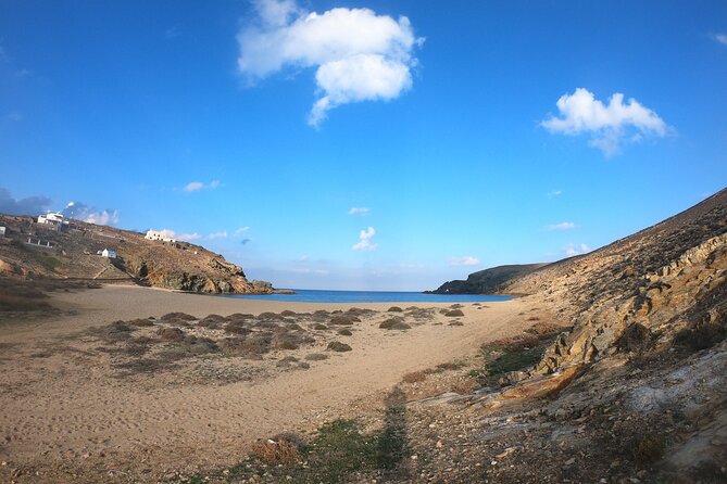 Private Mykonos Escape Tour - Ftelia Beach