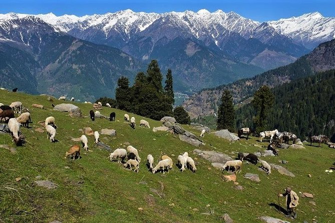 Private One Day Hiking Trip in Manali, Scenic Mountain Trail in Manali - Transportation Logistics