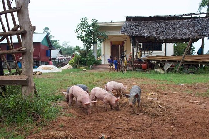 Private Ox Cart Ride and Local Village Experience From Siem Reap - Local Village Exploration