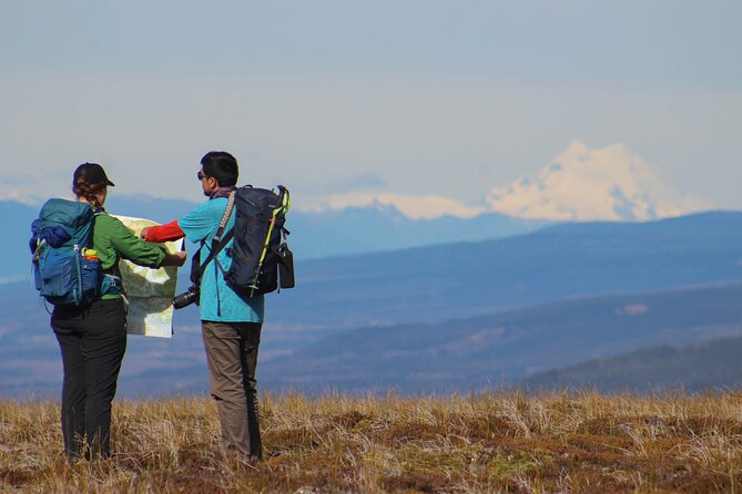 Private Patagonian Forest Hike in Punta Arenas: 6 Hour - Summary of Reviews