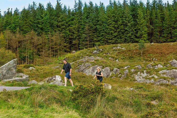 Private Ring of Kerry and Skelling Ring Tour From Killarney - Discover the Bog Village
