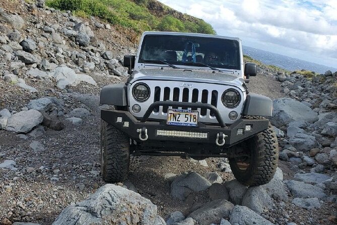 Private Rocky Coast Excursion Jeep Tour in Maui Island - Vehicle Details