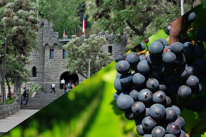 Private Santiago Full-Day Layover Tour - Pickup and Transportation