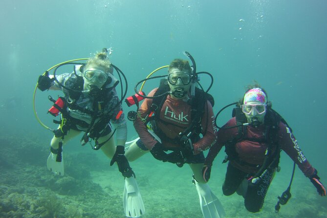 Private SCUBA Dive the Reefs of Key Largo for up to 8 Certified Divers - Meeting Point Information