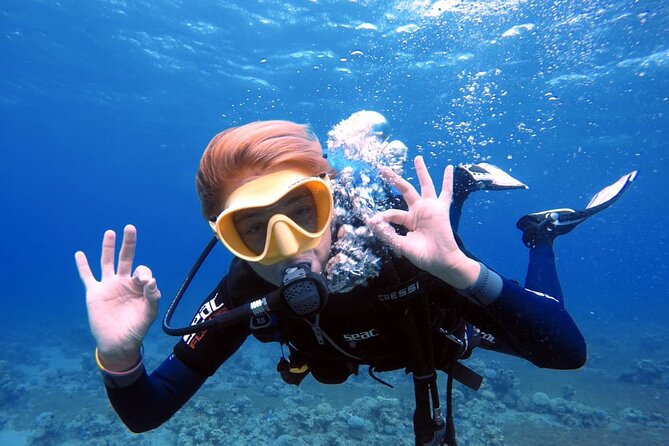 Private Scuba Diving Adventure in the Red Sea of Aqaba - Equipment and Inclusions
