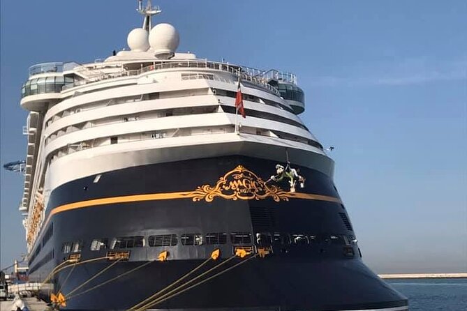 Private Shore Excursion Livorno Port Discovery Pisa & Florence - Traveler Experience and Feedback